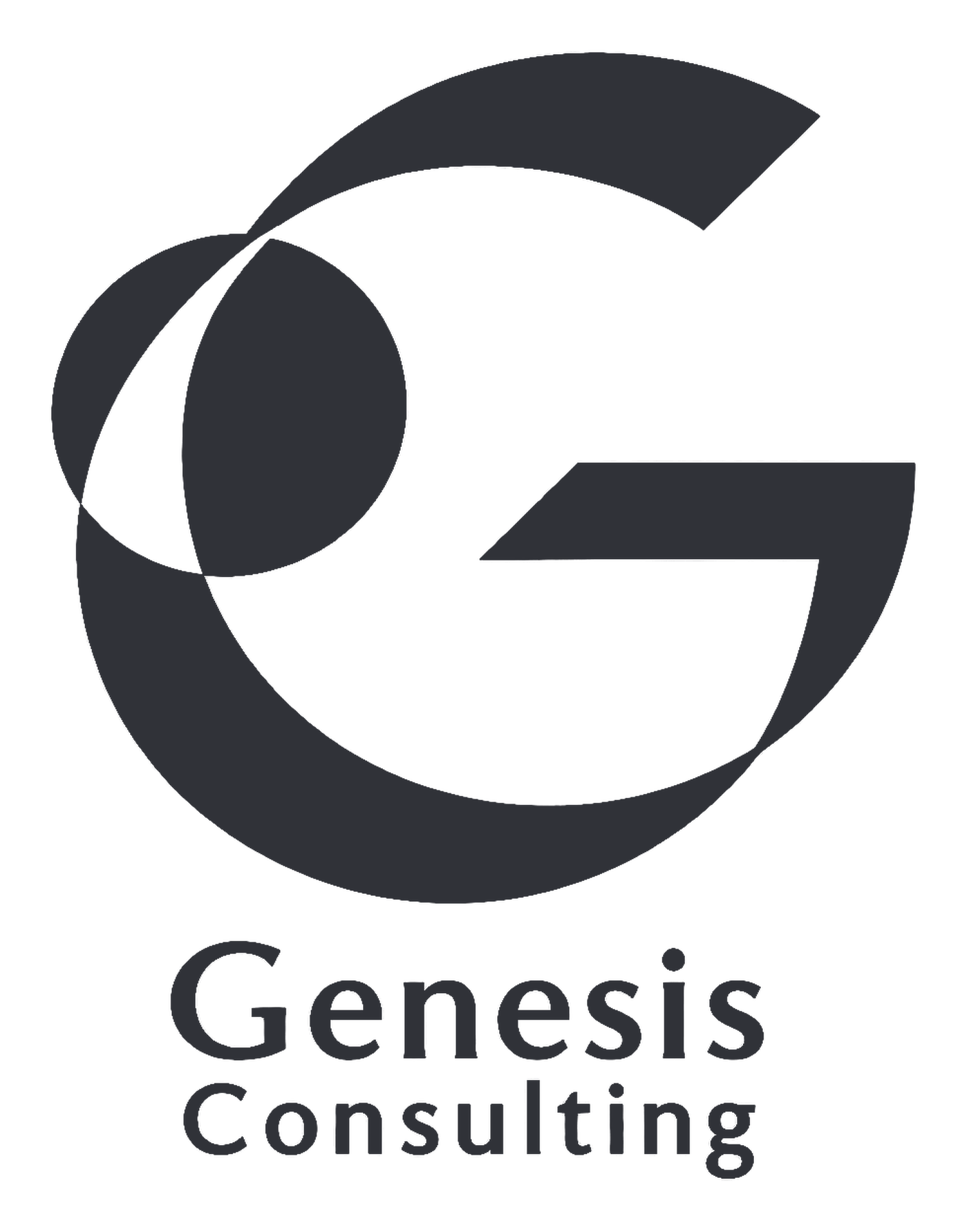 04 genesis consulting gris